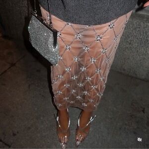 Zara BEADED EMBROIDERED TULLE SKIRT